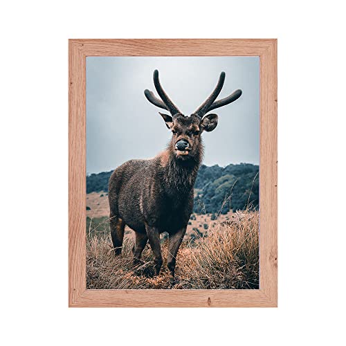 Rahmendesign24 Posterrahmen Milano 30x45 Eiche natur Fotorahmen, Wechselrahmen, Bilderrahmen, Puzzlerahmen von Rahmendesign24