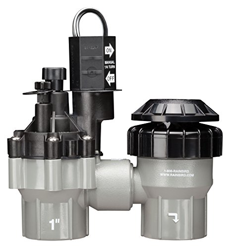 Rain Bird DASASVF100 Professional Grade Anti-Siphon Valve with Flow Control, 1" Threaded Female x Female Rain Bird DASASVF100 Professional Grade Anti-Siphon Valve with Flow Control, 1" Threaded Female x Female von Rain Bird