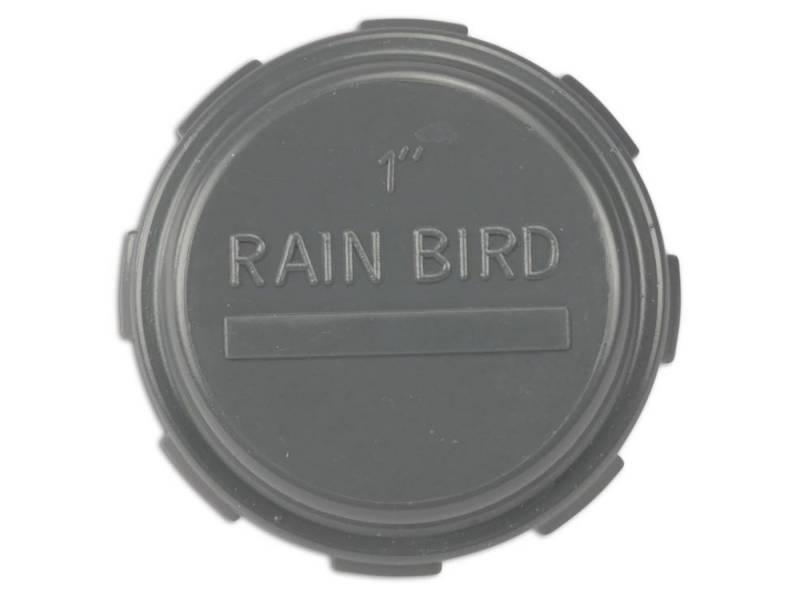 Rain Bird Gewindefitting Rain Bird PVC Gewindekappe grau - 1 Zoll IG von Rain Bird
