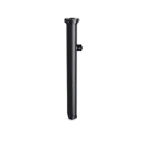 Rainbird 1812 Pop-up 30cm von RainBird