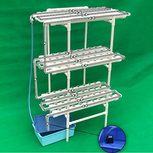 RainWeel Hydroponic Grow Kit, 108 Pflanzenstandorte 3 Schichten PVC Hydroponisches System für Wasserkultur Gartenpflanzensystem und Hydroponisches Experiment Gemüse von RainWeel