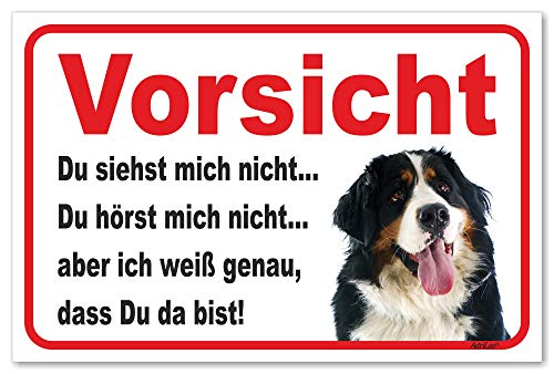 AdriLeo Schild - Vorsicht Berner Sennenhund - Du siehst Mich Nicht - (20x30cm) / Achtung Hund Wachhund robust langlebig UV-beständig wetterfestes Warnschild von AdriLeo