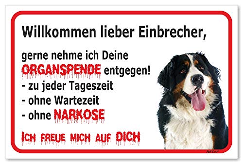 AdriLeo Schild - Vorsicht Berner Sennenhund - Willkommen Lieber Einbrecher - (15x20cm) / Achtung Hund Wachhund von AdriLeo