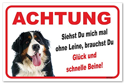 AdriLeo Schild - Vorsicht Berner Sennenhund - Ohne Leine - (20x30cm) / Achtung Hund Wachhund von AdriLeo