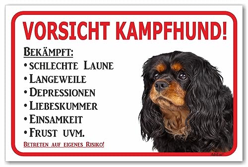 AdriLeo Schild - Vorsicht Cavalier King Charles Spaniel - Kampfhund - (20x30cm) / Achtung Familienhund Wachhund Hund von AdriLeo