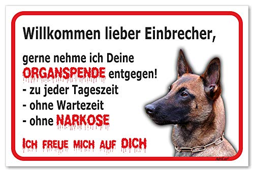 AdriLeo Schild - Vorsicht Malinois - Willkommen lieber Einbrecher - (20x30cm) / Achtung Hund Wachhund robust langlebig UV-beständig wetterfestes Warnschild von AdriLeo