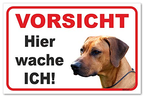 AdriLeo Schild - Vorsicht Rhodesian Ridgeback - Hier wache ich - (15x20cm) / Achtung Hund Wachhund von AdriLeo