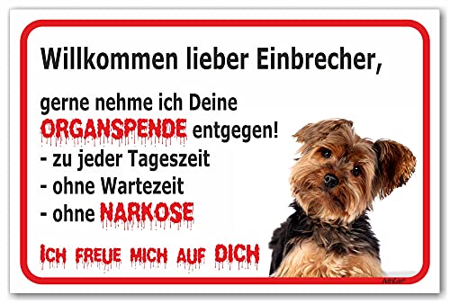 AdriLeo Schild - Vorsicht Yorkshire Terrier - Willkommen lieber Einbrecher - (20x30cm) / Achtung Hund Wachhund von AdriLeo