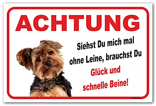 AdriLeo Schild - Vorsicht Yorkshire Terrier - Ohne Leine - (15x20cm) / Achtung Hund Wachhund robust langlebig UV-beständig wetterfestes Warnschild von AdriLeo