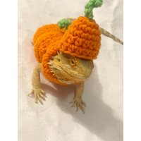 Gehäkeltes Kürbis-Bartdrachenkostüm Für Erwachsene | Bartagame Kostüm Kleidung von Rainbowluvpets