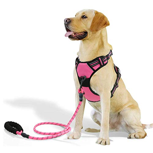 Raining Pet Hundegeschirr für Große Hunde Anti Zug Geschirr No Pull Sicherheitsgeschirr Rosa L von Raining Pet