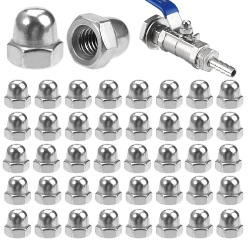 60 Stück Hutmuttern M6 Edelstahl, Hutmutter M6, Hutmuttern Set, Anti-Rost Sechskant Hutmuttern, Abriebfest Hutmutter Hohe Form,304 Edelstahl Hutmuttern M6 für Schrauben Gewindestangen, Gewindebolzen von Rairsky