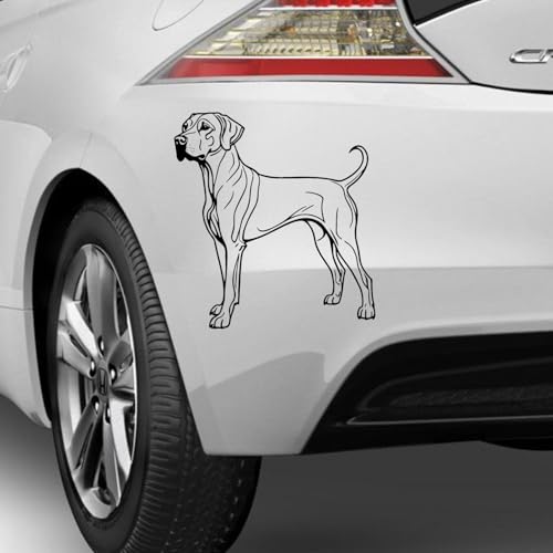 Rhodesian Ridgeback typ 2 Aufkleber Sticker Hunde Hunde Dog Personalisierbar Name,Text,Größe Wunschtext Auto Autoaufkleber Wandtattoo von Rakelfix
