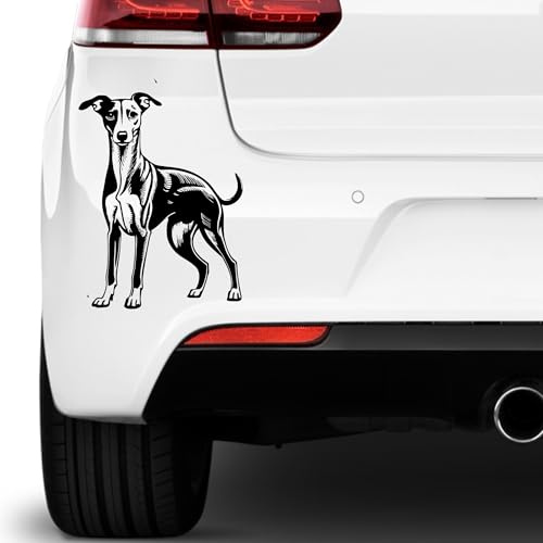 Whippet Aufkleber Sticker Hunde Hunde Dog Personalisierbar Name,Text,Größe Wunschtext Auto Autoaufkleber Wandtattoo Whippet Aufkleber Sticker Hunde Hunde Dog Personalisierbar Name,Text,Größe Wunschtext Auto Autoaufkleber Wandtattoo von Rakelfix