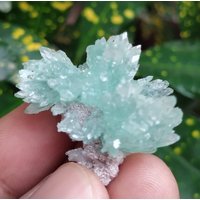Bezaubernde Grüne Apophyllite Winzige Blümchenmuster Sehr Schöne Natürliche Kristall Chakra Hals von RakhamaExportsIN