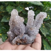 Coral Natural Stehende Super Blakish Natürliche Haarsprenkel Kristallprobe Super Glänzender Schimmernder Korallenkristall von RakhamaExportsIN