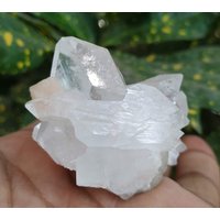 Natürliche Schöne Weiße Apophyllite-Cluster/Apophylit-Kristallprobe Mit Einem Kleinen Stilbit-Bogen Qualität Charming Specimen Kristall von RakhamaExportsIN
