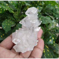 Natürlicher Super Standing Multi Sharpdouble Terminated Pointed White Apophylite Cluster Crystal Sehr Feiner Qualitätskristall von RakhamaExportsIN