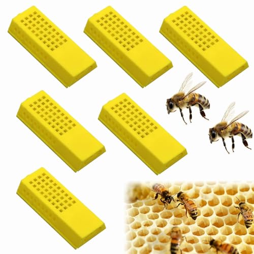 Bee Königin Käfige,Bienenkönigin Aufzucht Käfige,Insekten Box,Kunststoff Imkerei Ausrüstung,Bienenkönigin Käfig,Bienenzucht Werkzeuge,Praktischer Aufzuchtbecher,Versand und Zusetzkäfig,6 Stück von Rakiuty