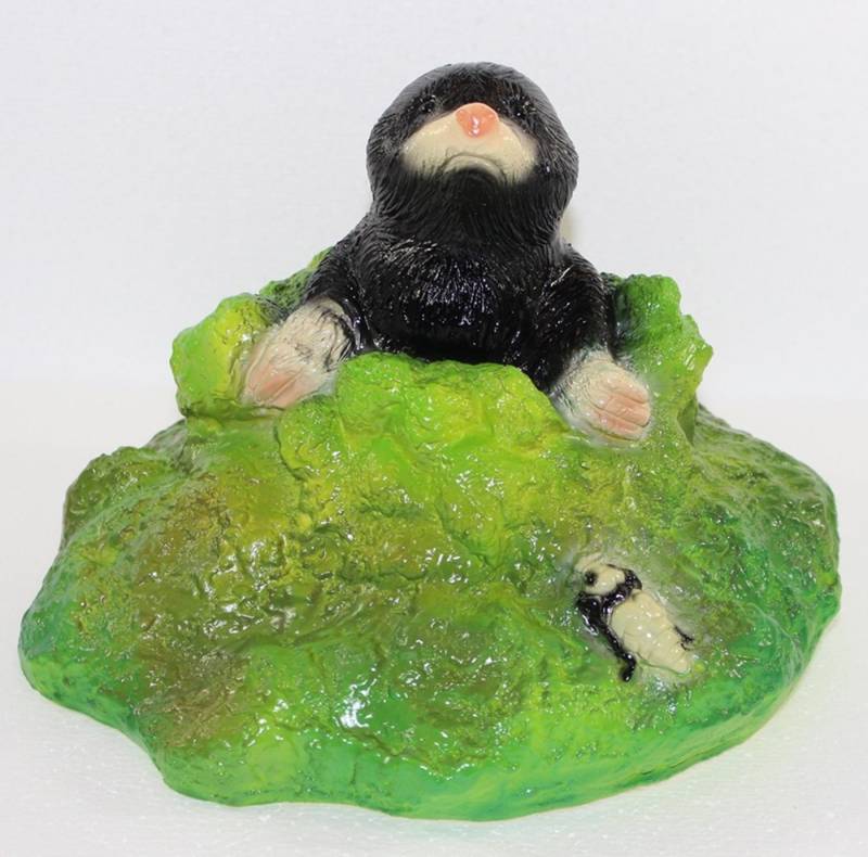 Rakso Oskar Schneider GmbH Tierfigur Gartenfigur Tierfigur Maulwurf im Loch aus Kunststoff Höhe 19 cm Rakso Oskar Schneider GmbH Tierfigur Gartenfigur Tierfigur Maulwurf im Loch aus Kunststoff Höhe 19 cm von Rakso Oskar Schneider GmbH