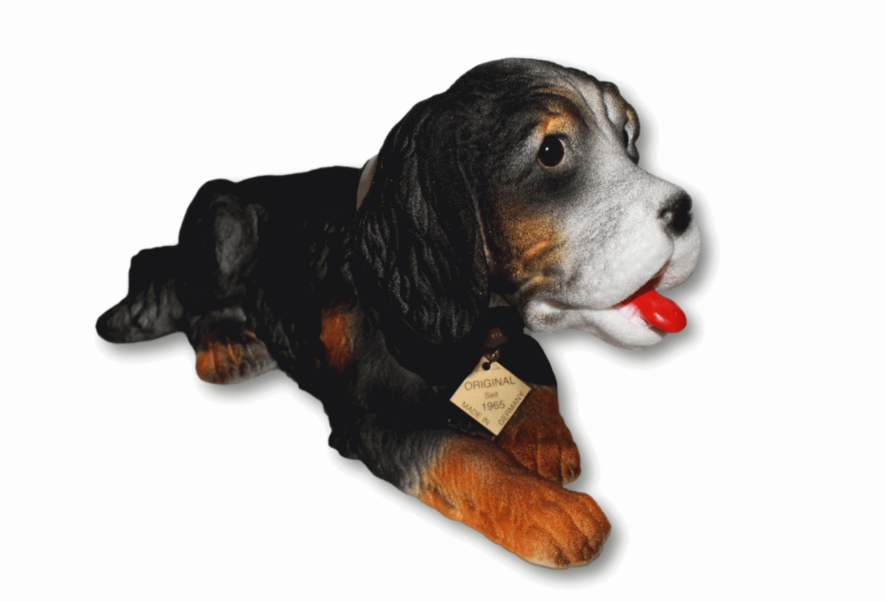 Wackel Figur Hund Berner Sennenhund Wackelfigur H 14 cm groß Dekofigur mit Wackelkopf von Rakso