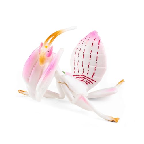 Ralondbey Mücken Orchideen Mantis Figuren Simulation Modelle Rasen Zaun Ornamente für Dekorationen von Ralondbey