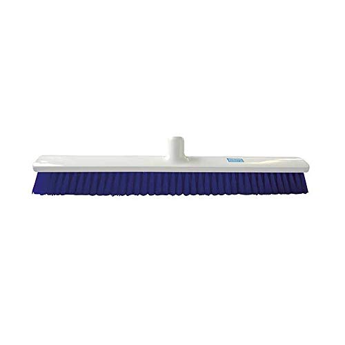 Ramon Hygiene NHB16B Kombi-Besen für Hygiene und Hygiene, 60 cm, Blau von Ramon Hygiene