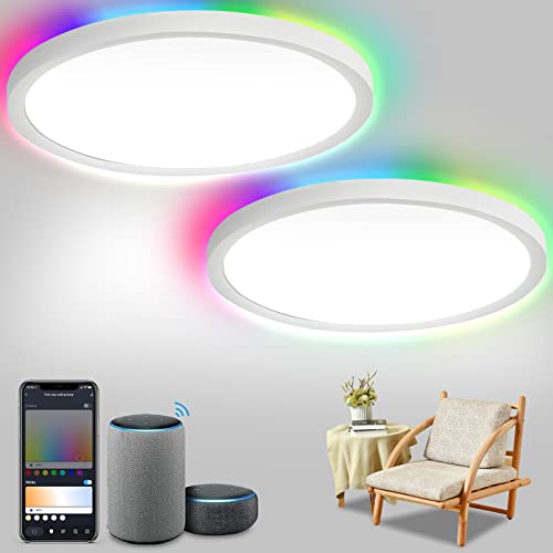 Randaco 2x24W LED Deckenleuchte, Deckenlampe Flach Dimmbar mit Fernbedienung, Ø30CM RGB LED Deckenleuchte, IP44 Einstellbar Farbwechsel Flach Lampe Leuchte für Schlafzimmer Wohnzimmer Kinderzimmer von Randaco