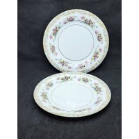 Antikes Noritake Somerset 5317 Salatteller 2Er Set Made in Japan Antikes Noritake Somerset 5317 Salatteller 2Er Set Made in Japan von Randomness4sale