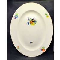 Vintage Alfred Meakin Freda Handbemalte Oval Servierplatte England Selten 14, 5" von Randomness4sale