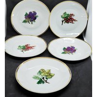 Vintage Chodziez Coupe Schalen 5Er Set Goldrand Ernte Thema Made in Poland von Randomness4sale