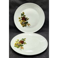 Vintage Florale Speiseteller 2Er Set Rot Gelbe Rosen Sammlerstück 10" Durchmesser von Randomness4sale
