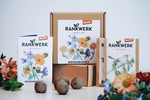 Rankwerk Bio-Saatgut-Box "Bienenbuffet" von Rankwerk