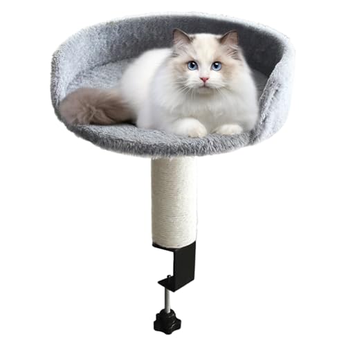 Ranley Katzenbett Schreibtischmontage Entfernbar - Katzenbett Schreibtischaufsatz | Kissenauflage Nest Gemütlich Für Wohnzimmer Schlafzimmer Wohnung Zuhause Indoor Haustier Kätzchen von Ranley