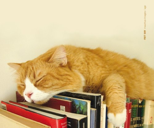 Brillenputztuch "Schlafende Katze auf Büchern" von Rannenberg und Friends