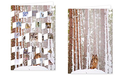 RASW056 - "Lautlose Jäger" Adventskalender-Doppelkarte - 12,5 x 18,5 cm mit hochwertigem Kuvert von Rannenberg & Friends