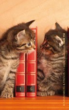 Magnet "Kätzchen im Bücherregal" von Rannenberg und Friends