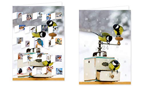 RASW052 -"Vögel im Winter" Adventskalender-Doppelkarte - 12,5 x 18,5 cm mit hochwertigem Kuvert von Rannenberg & Friends