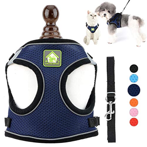 Ranphy Hundegeschirr Kleine Hunde mit Leine Welpen Verstellbar Reflektierend Haustier Katzen Weiches Netzgewebe Mesh Leichtes Gepolstert Training Weste Brustgeschirr Ausbruchsicher Dunkelblau XS Ranphy Hundegeschirr Kleine Hunde mit Leine Welpen Verstellbar Reflektierend Haustier Katzen Weiches Netzgewebe Mesh Leichtes Gepolstert Training Weste Brustgeschirr Ausbruchsicher Dunkelblau XS von Ranphy