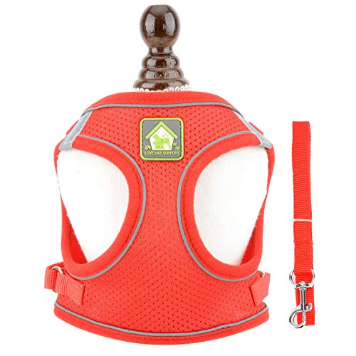 Ranphy Hundegeschirr Kleine Hunde mit Leine Welpen Verstellbar Reflektierend Haustier Katzen Weiches Netzgewebe Mesh Leichtes Gepolstert Training Weste Brustgeschirr Ausbruchsicher Rot XS von Ranphy