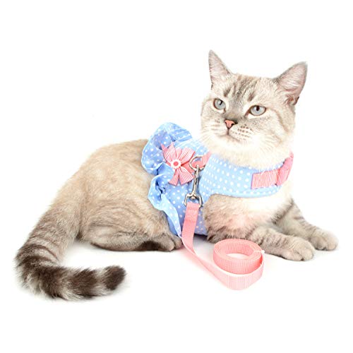 Ranphy Tupfen Katze Geschirr mit Leine Kleines Hunde Schritt in Weste Harness Verstellbar Komfort Gepolstert Weich Mesh Brustgeschirr Welpen Haustier Anti Zug Kostüm Rock Blau XS von Ranphy