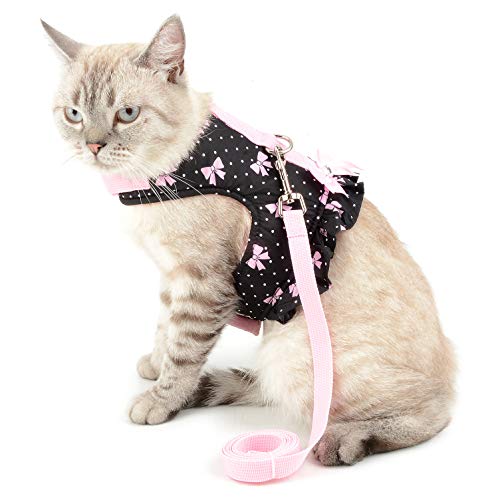 Ranphy Tupfen Katze Geschirr mit Leine Kleines Hunde Schritt in Weste Harness Verstellbar Komfort Gepolstert Weich Mesh Brustgeschirr Welpen Haustier Anti Zug Kostüm Rock Schwarz S von Ranphy
