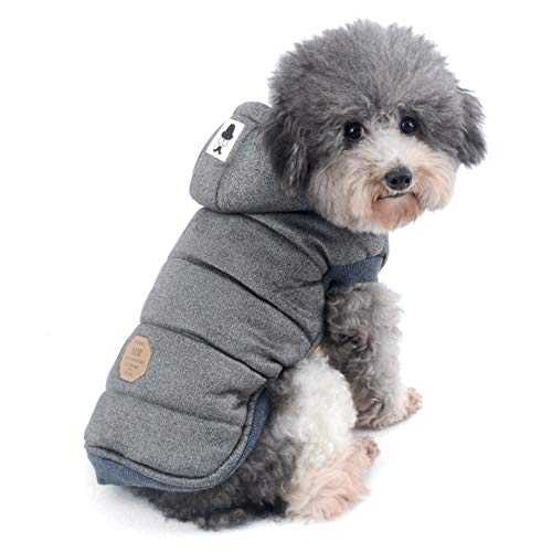 Ranphy Winterjacken Wintermäntel mit Kapuze für Kleine Hunde, Hundejacke mit Fleece Einlage Hundemantel aus Baumwolle Haustier Kleider Winddicht Jacke Bekleidung Kapuzenjacke für Katze Grau XXL von Ranphy