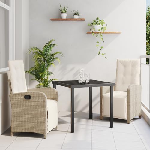 Rantry 3-teiliges Garten-Essgruppe mit Kissen Beige Poly Rattan, Gartentisch Schwarz 80x80x73 cm Sicherheitsglas Gartenlounge Model3380330 von Rantry