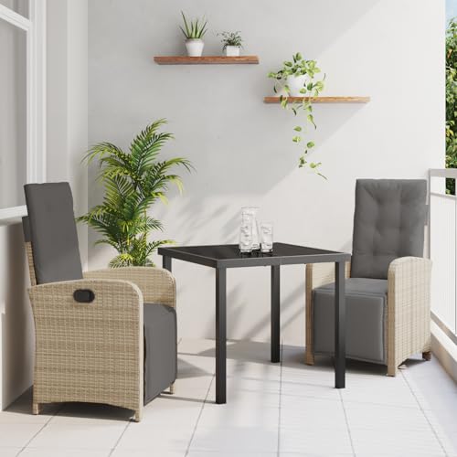 Rantry 3-teiliges Garten Essgruppe mit Kissen Beige Poly Rattan, Gartentisch Schwarz 80x80x73 cm Sicherheitsglas Gartenlounge Model3380337 von Rantry