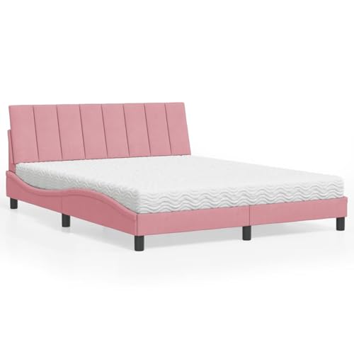 Rantry Bett mit Matratze Rosa 160x200 cm Samt Gästebett Model3208609 von Rantry
