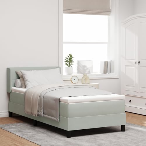 Rantry Boxspringbett mit Matratze Hellgrau 90x190 cm Samt Schlafzimmerbett von Rantry