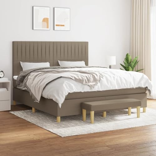 Rantry Boxspringbett mit Matratze Taupe 160x200 cm Stoff Schlafzimmerbett von Rantry