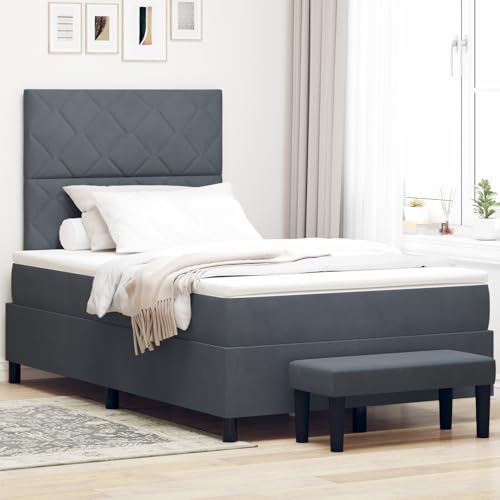 Rantry Boxspringbett mit Matratze & Bank Dunkelgrau 120x200 cm Samt Schlafzimmerbett von Rantry
