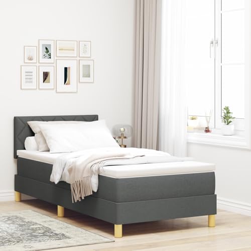 Rantry Boxspringbett mit Matratze & LED Dunkelgrau 100 x 200 cm Stoff Schlafzimmerbett von Rantry